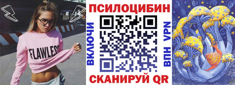 Псилоцибиновые грибы мицелий Щёлково